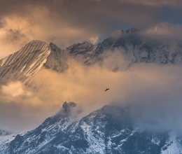 Облачный рассвет в Гималаях