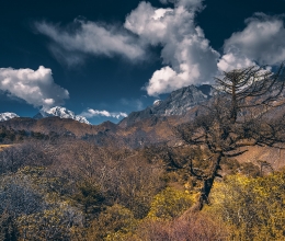 Пёстрые островки леса региона Соло-Кхумбу, Непал